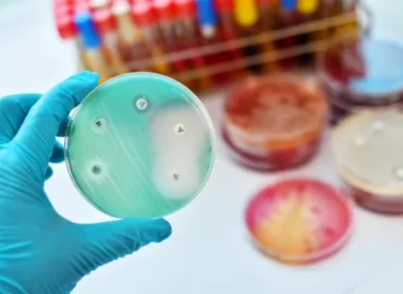 Staphylocoque doré résistant